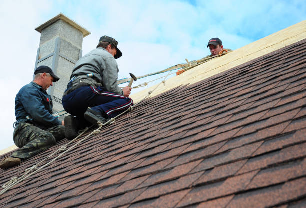 Quick and Trustworthy Emergency Roof Repair Services in Arlington, TN
